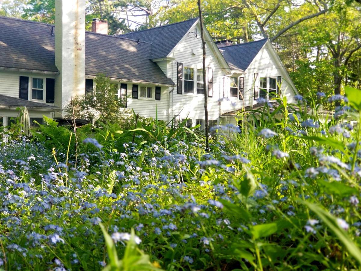 Timbercliffe Inn *